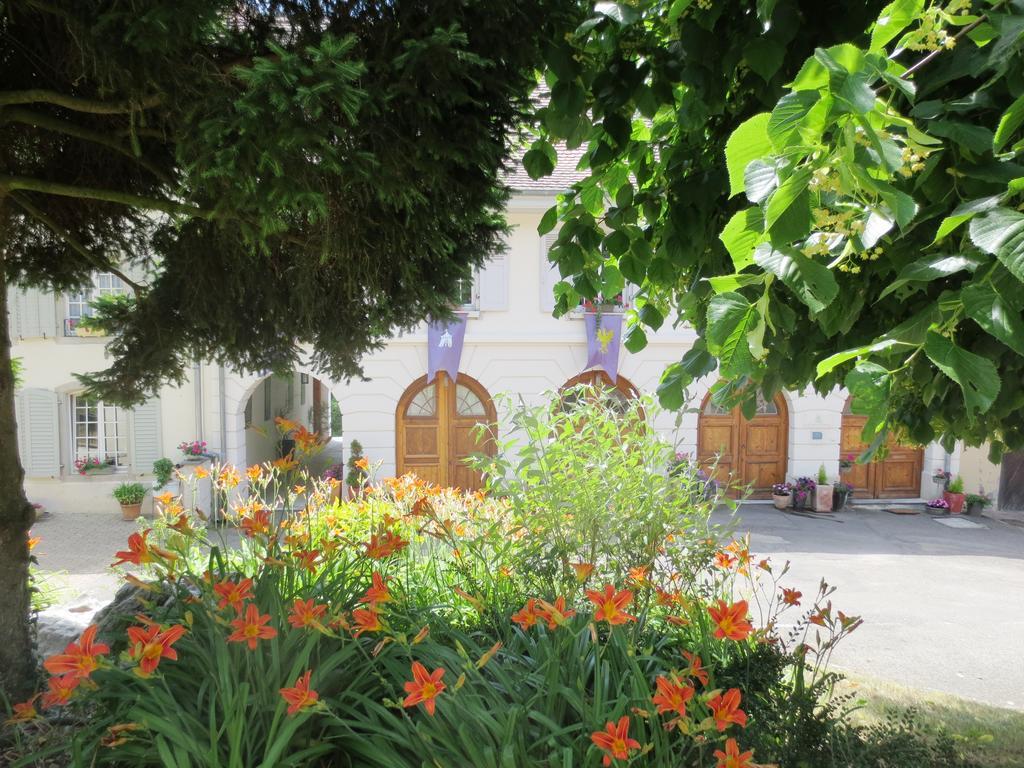 La Maison Des Fontaines D'Alsace Ferrette Bilik gambar