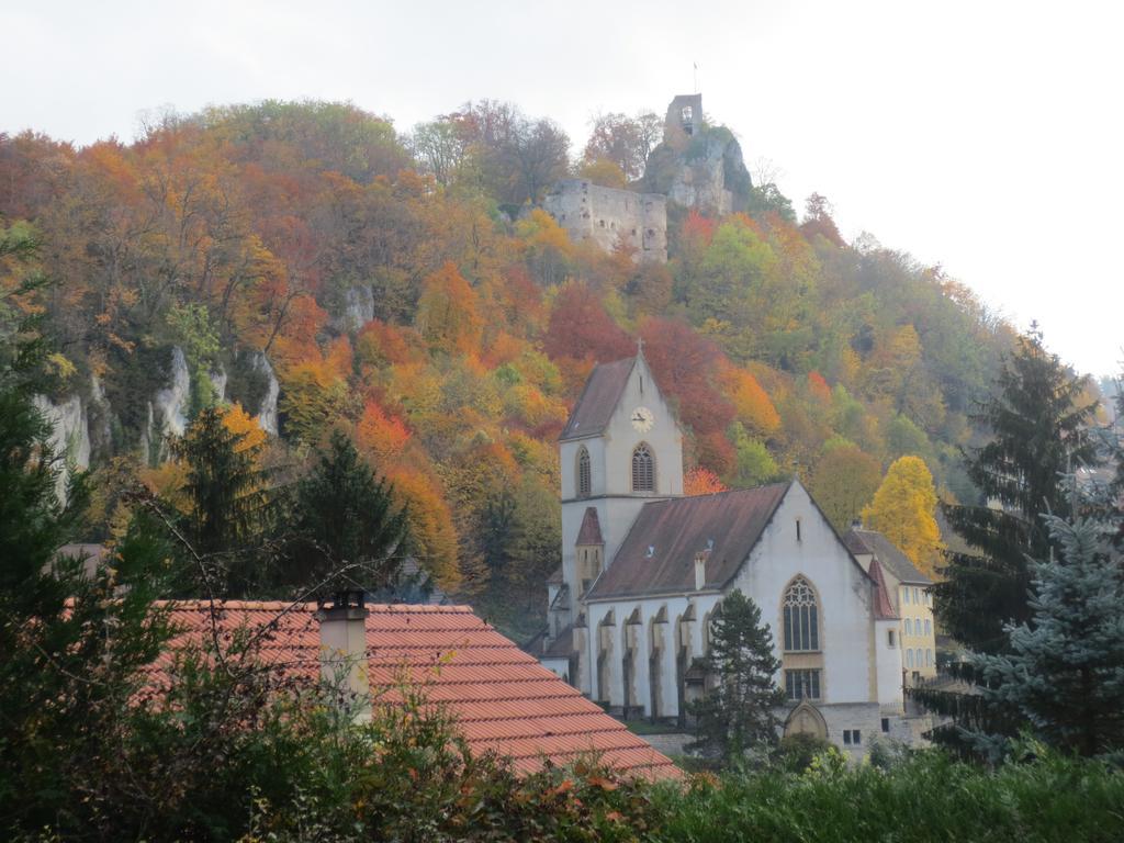 La Maison Des Fontaines D'Alsace Ferrette Bilik gambar