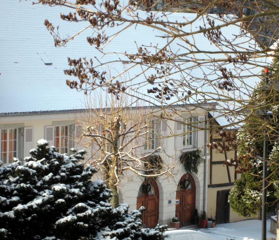 La Maison Des Fontaines D'Alsace Ferrette Bilik gambar