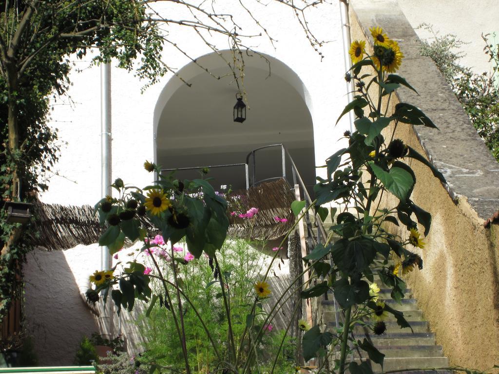 La Maison Des Fontaines D'Alsace Ferrette Luaran gambar