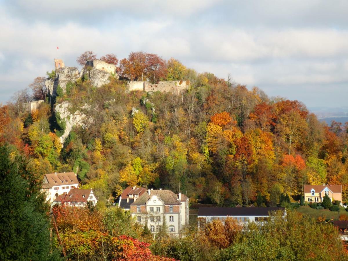 La Maison Des Fontaines D'Alsace Ferrette Luaran gambar